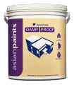 Asian Paints SmartCare Damp Proof- White- 4ltr. 
