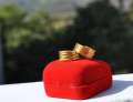 Combo 2 Pieces Adjustable Free Size Berwa Ring For Unisex Panchadhatu With Gold Storage Box (2 Different Design Berwa Ring) For Women. 
