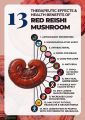 Reishi Red Mushroom Powder-60gm. 