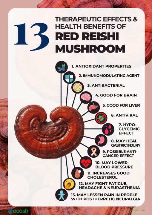 Reishi%20Red%20Mushroom%20Powder-60gm%20-%20Image%203