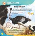Dreamland Animals WOW Children Encyclopedia In Augmented Reality Age 6+ By KitabKalam. 