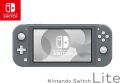 Nintendo Switch Lite - Gray Console. 