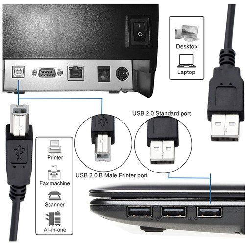 3M%20High%20Speed%20USB%20Printer%20Cable%20USB%202.0%20Type%20A%20Male%20to%20Type%20B%20Male%20Cable%20Cord%20-%20Image%207