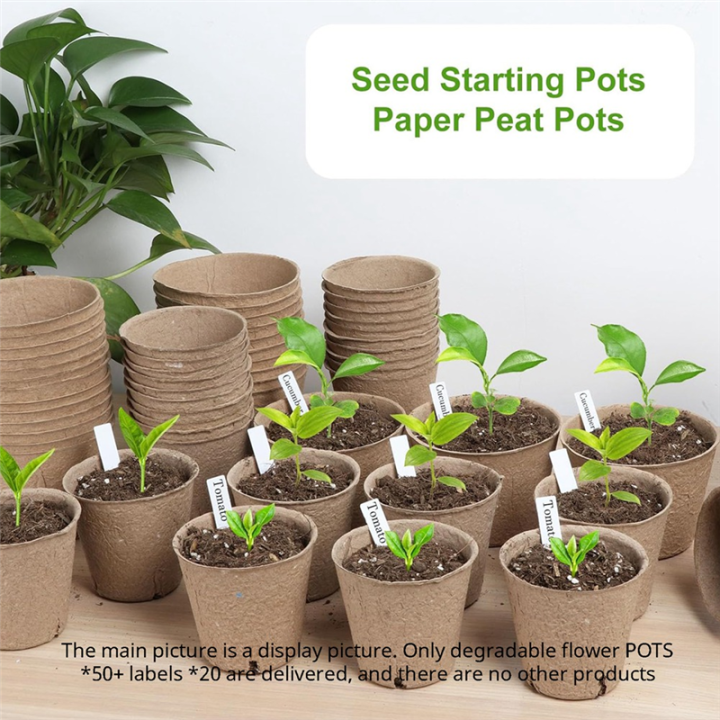 Round%20Plant%20Nursery%20Pot%20with%20Drainage%20Hole,%20Biodegradable%20Container-L%20-%20Image%206