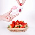 Mumlove Baby Fruit Feeder Pacifier - Teething Toy for Babies, Silicone Pouches. 