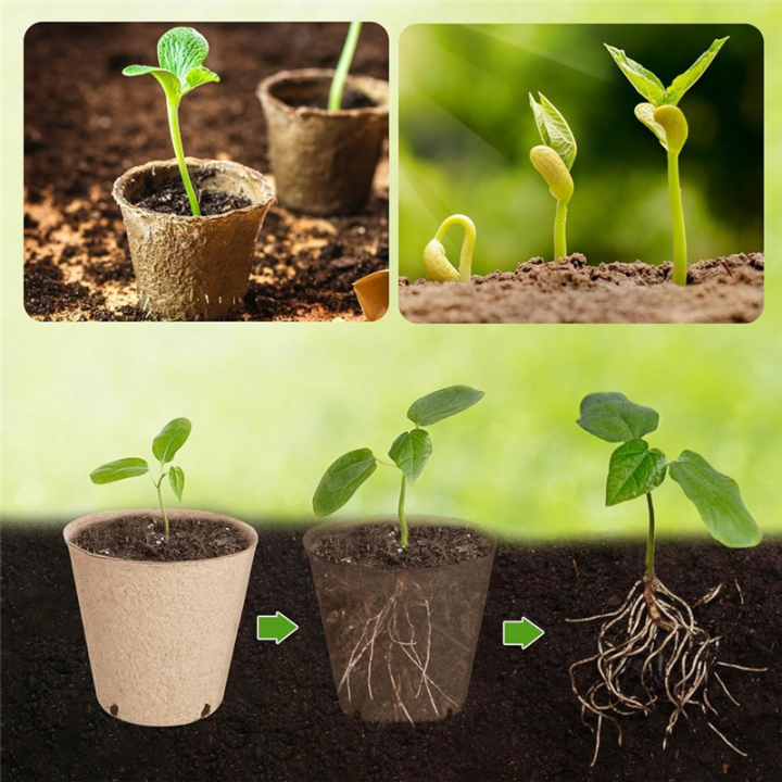 Round%20Plant%20Nursery%20Pot%20with%20Drainage%20Hole,%20Biodegradable%20Container-L%20-%20Image%204