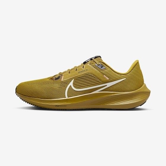 Pegasus 40 Shoes For Men DV3853-700