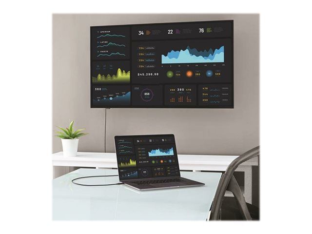 Type-C%20To%20Display%20Port%20Cable%20-%20Image%205