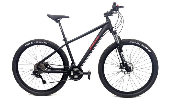 Panc Custom Cascade 2 Mountain Cycle