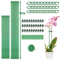 Plant Stakes Sets, Plant Sticks with Connect Pipe for Indoor and Outdoor Plants, Green Adjustable Plant Support Stake Easy to Use. 