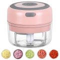 Mini Food Garlic Vegetable Grinder Chopper. 