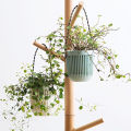 Double-layer Hanging Plant Holder Lazy Water Plastic Basket Wall Flower Pot Mystic. 