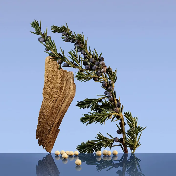 Calvin%20Klein%20CK%20Be%20Eau%20De%20Toilette%20Unisex%20Perfume%20For%20Both%20Men%20And%20Women%20Imported%20From%20USA(New%20York%20)%20100ml%20-%20Image%204