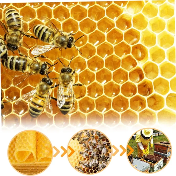 Beeswax%20Sheets%2010Pcs%20Beeswax%20Foundation%20Sheets%20Wax%20Foundation%20for%20Bee%20Frames%20Natural%20Honeycomb%20Sheets%20Beeswax%20Sheets%20-%20Image%204