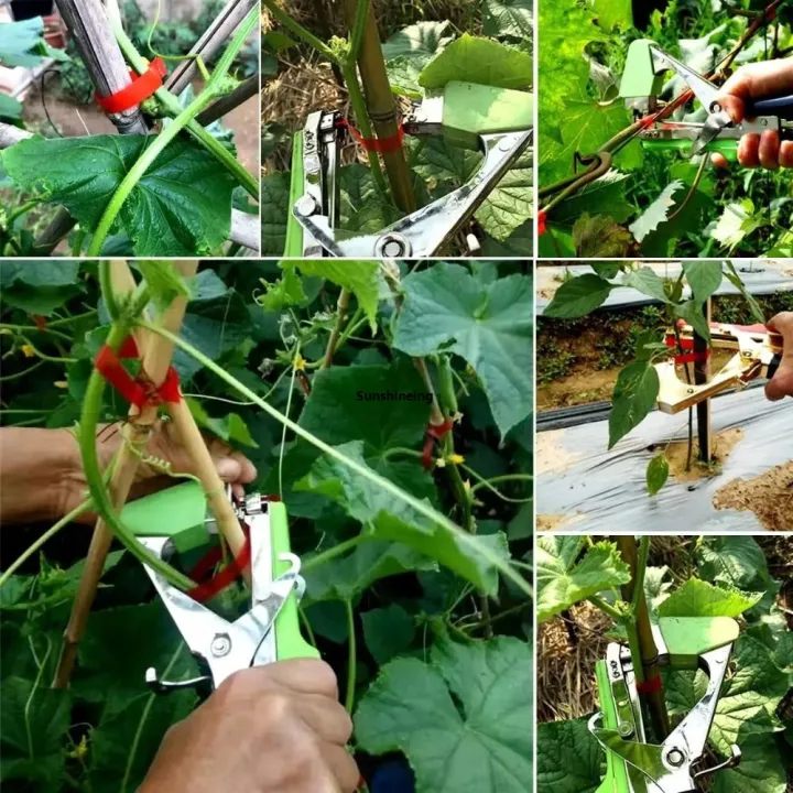 Strapping%20Machine%20Fruit%20Tree%20Vegetable%20Strap%20Strapping%20Tape%20Binding%20Strapping%20Machine%2010pcstapetool10pcs%20Strapping%20Tool%20Branch%20Tape%20Branch%201Box%20Nail%20Taper%20-%20Image%204