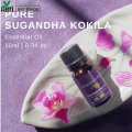 Himalayan Bio Sugandha Kokila , 10 ml. 