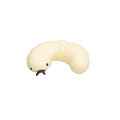 Simulation Soybean Mealworms Stress Relief Toy Slow Rebound Soft Mochi Toys Creative Funny Squishy Toy Sensory Fidget Toys Gifts Yunshuo. 