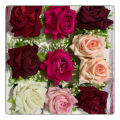 Rose Pin Hair Clip For Women (Pack Of 2 Roses). 