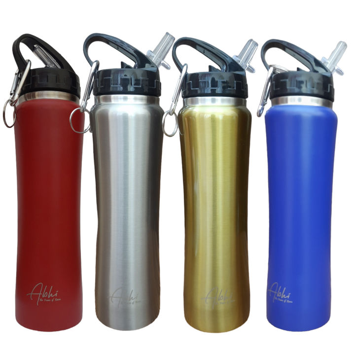 Double Wall Vacuum Insulated Stainless Steel Fitness Sports Sipper