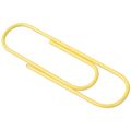 ARELENE Super Large Paper Clips Vinyl Coated, 60 Pack 4 Inch Assorted Color Jumbo Paper Clip Holder(10 cm). 