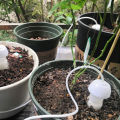 2PCs Automatic Drip Irrigation Seepage Sprinkler for Potted Plant Self Watering Nicle. 