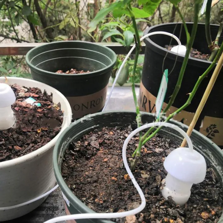 2PCs%20Automatic%20Drip%20Irrigation%20Seepage%20Sprinkler%20for%20Potted%20Plant%20Self%20Watering%20Nicle%20-%20Image%202