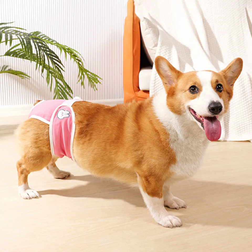 DESCENTE Dog Diaper for Female Dogs Breathable Dog Diapers for Small Medium Dogs Pet Menstrual Pants Period Pads Underwear Female Dog Sanitary Daraz .np