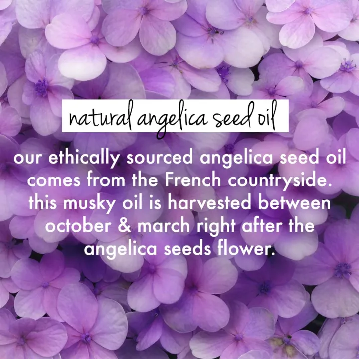 Love%20Beauty%20&%20Planet%20Rice%20Water%20&%20Angelica%20Seed%20Oil%20Shampoo%20for%20defined,%20frizz%20-%20free%20curls%20%7C%20Sulfate%20Free,%20400ml%20-%20Image%208