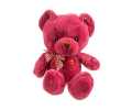 Soft Teddy Bear 1 pcs. 