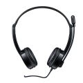 Rapoo USB Stereo Headset H100 Black. 
