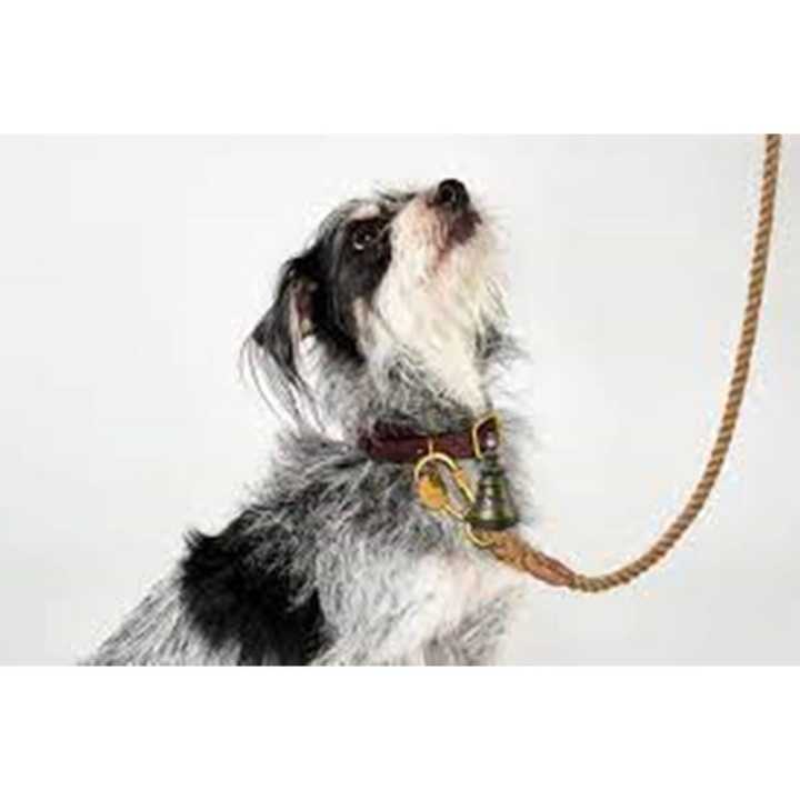 Pet Neck Collar With Bell