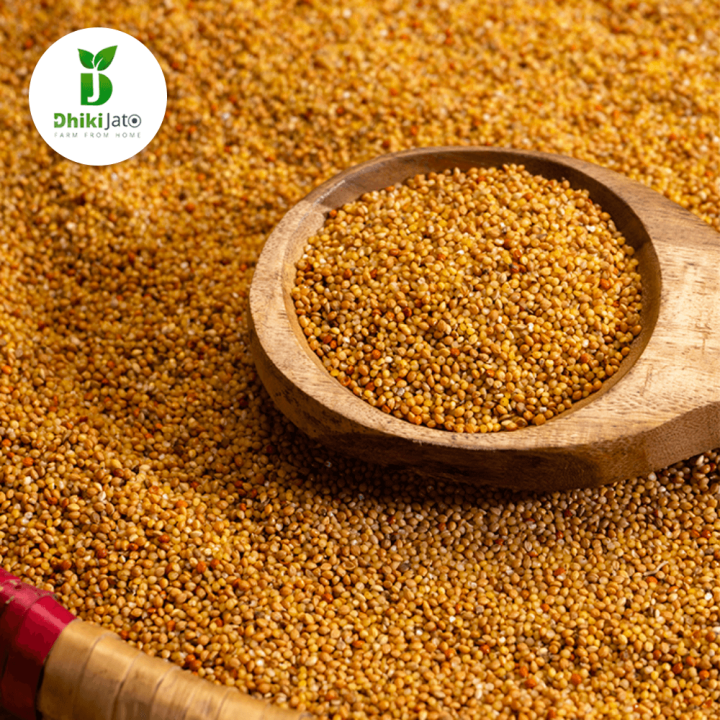 DhikiJato%20Proso%20Millet%20(Chino)-1KG%20-%20Image%202