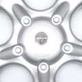 Salvo Wheel Cover 16" Size  Scorpio. 