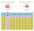 Thin Full Cup Plus Size Bras 34 36 38 40 C D E F G H I J Large Cup Bra Big Size Bow Underwire Push Up Bras for Women. 