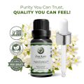 ZenAum Essences 100% Pure Jasmine Essential Oil | Mood Uplifting Skin Hydration | Romantic Aromatherapy, Stress Relief Hair Nourishment | Diffuser Massage Use | GMP, IFRA, ISO Certified- 15ml (FROM INDIA). 
