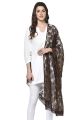 Women'S Net Dupatta - Cotton Material | Multicolor | Free Size | Fashion | Dupatta For Women | Women'S Wear. 