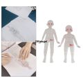 Difutagui Sales promotion Model lightweight and durable design professional tool measurement ruler Affordable template must have [】2 piece tool patchwork ruler fashion illustration icon ruler. 