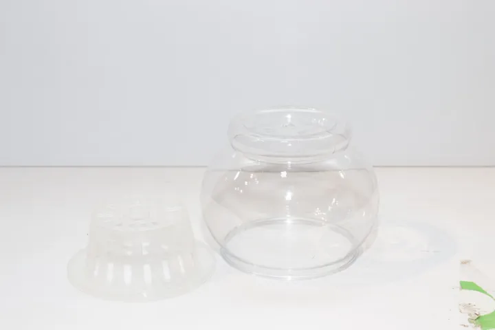 Good%20Luck%20Money%20Plant%20in%20White%20Round%20%20Plastic%20%20Pot%20-%20Image%204