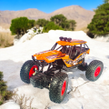 Remote Control Rechargeable Offroad Rock Crawler With 4W Suspension. 