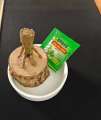Hydroponic Lucky Tree Stump Desktop Potted Plant Groot Four Seasons Easy to Grow and Sprout Brazilian Wood. 