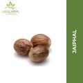 Jaiphal (Nutmeg) 200 gms / Herbs Nepal. 