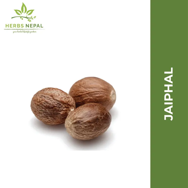 Jaiphal%20(Nutmeg)%20200%20gms%20/%20Herbs%20Nepal%20-%20Image%202