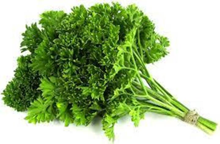 Parsley Moss Curled Seeds 2 gram