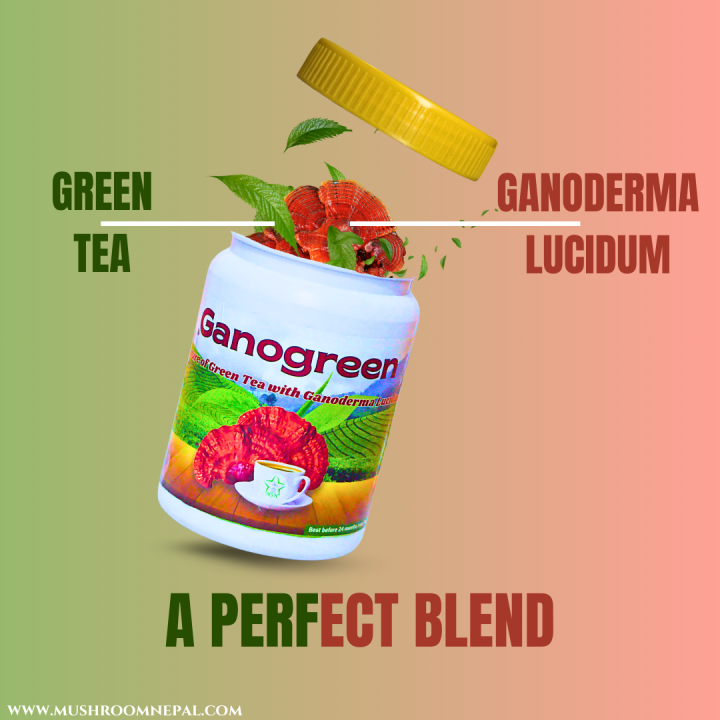 Ganogreen:%20Mixture%20of%20Green%20Tea%20With%20Ganoderma%20Lucidum%20(Reishi%20Mushroom)%20-%20Image%204