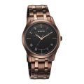 Titan Karishma Quartz Analog Watch for Men 1823QM01. 