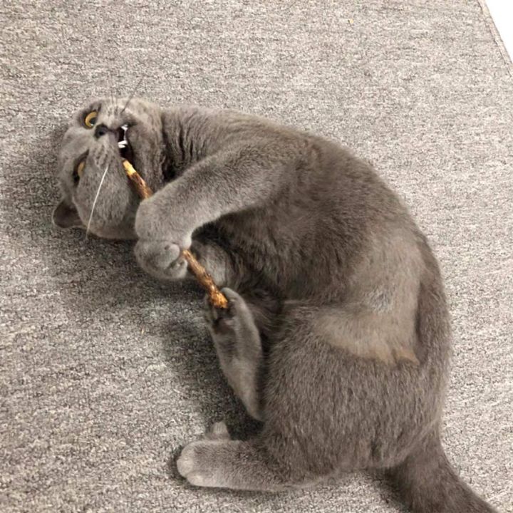 15Pcs%20Natural%20Silvervine%20Sticks%20for%20Matatabi%20Chew%20Sticks%20Teeth%20Molar%20Chew%20Toys%20for%20Cat%20Teeth%20Cleaning%20-%20Image%205