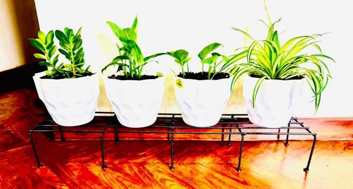 Salcko Set of 2 Pieces black  Rust-Resistant 36-Inch Metal Plant Stands - Ideal for Indoor and Outdoor Use, Combining Durability with Elegant Design