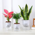 Lazy Hydroponic Flower Pot Automatic Water-Absorbing Flowerpot Transparent Double Layer Plastic Self Watering Planter Office Demoo. 