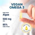 Naturaltein Algae Source Vegan Omega 3- 60 Capsules With Sustainably Sourced & Premium Carrageenan Free For Support Heart Health & Brain Health. 
