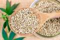 Hemp Seeds Chutney Dana ( Bhang Geda) -200Gm. 